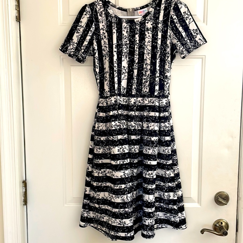 Beautiful LuLaRoe Amelia